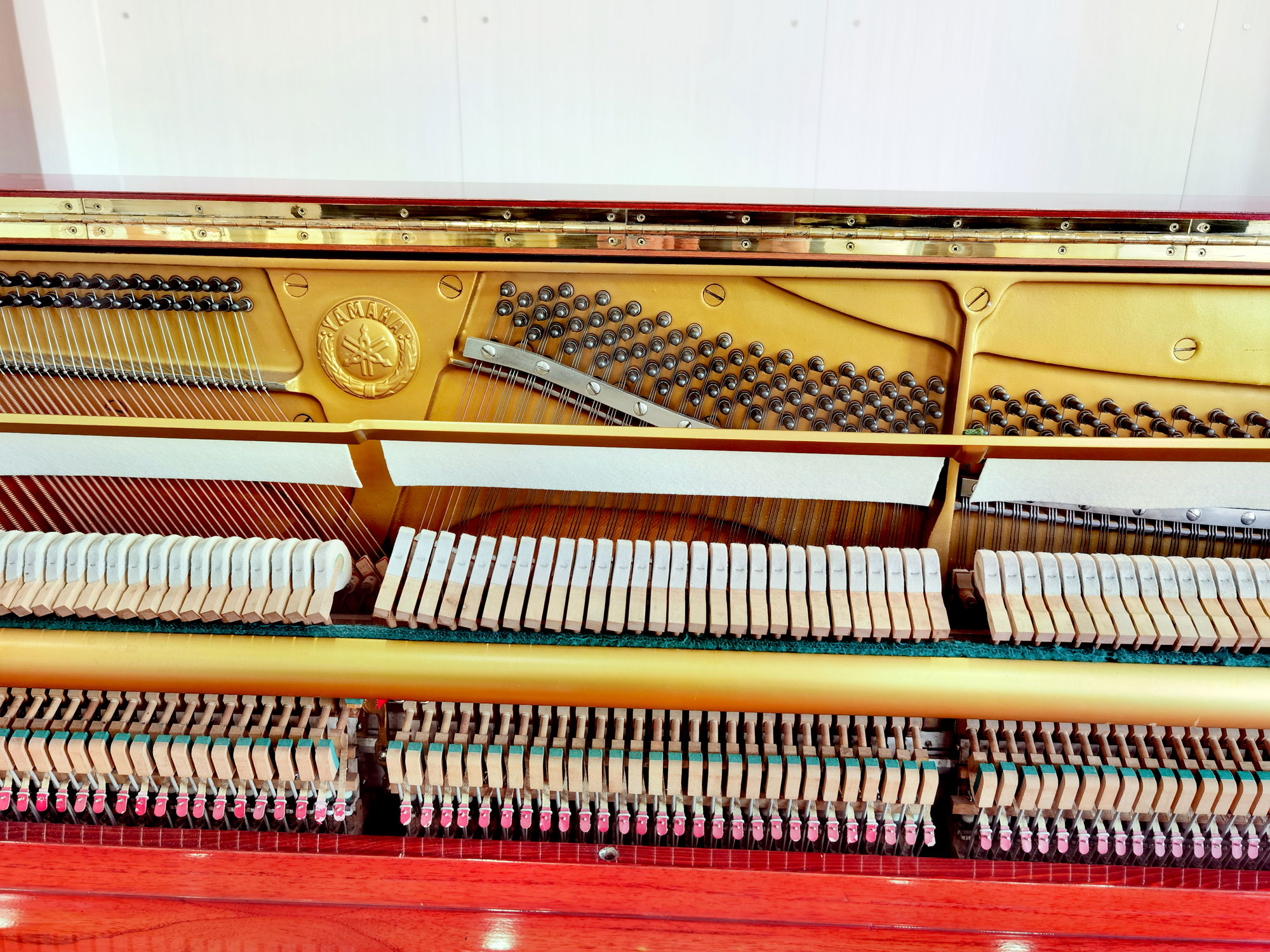 固安钢琴培训 灵雅艺术培训 固安钢琴培训 灵雅艺术培训