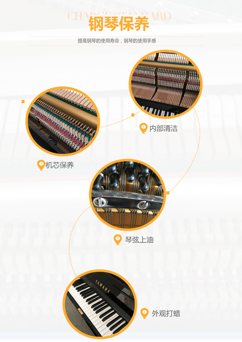 固安钢琴培训 灵雅艺术培训