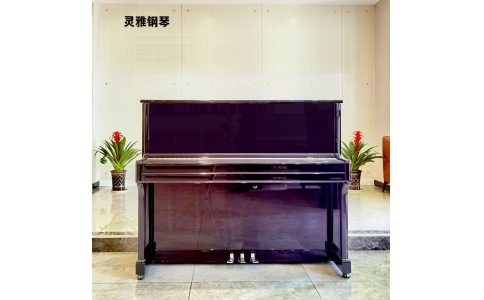 森柏龙 XO123-915909 A 级，9.9成新（二手）钢琴