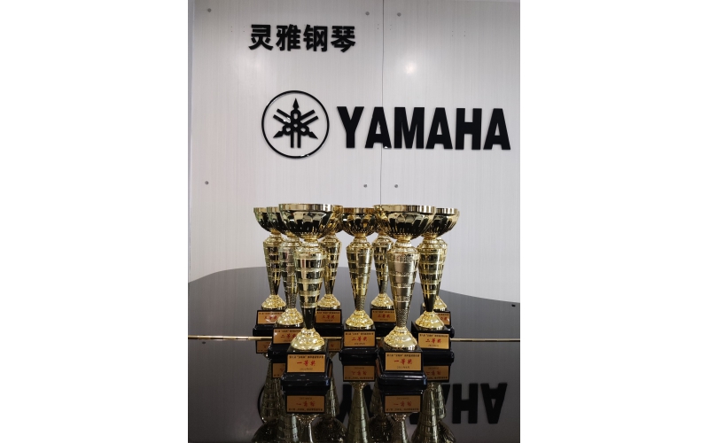 每一次舞台比赛，都是我们走向理想目标中的过程，是我们学琴之路的一个里程碑、成长路上的一段小插曲。